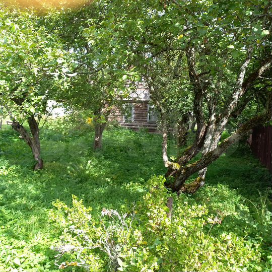 Участок 16 сот. (ИЖС)