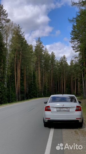 Аренда автомобиля с правом выкупа Skoda Octavia