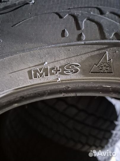 Maxxis ArcticTrekker NS5 245/50 R18 100T