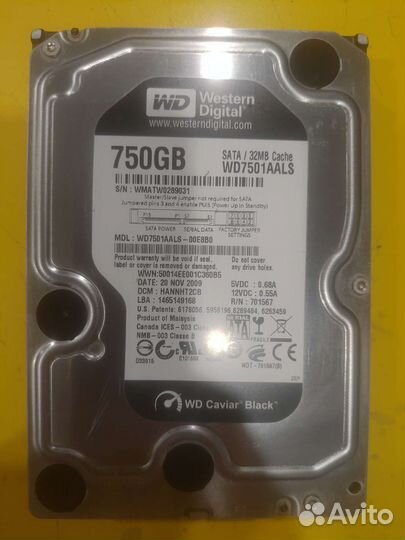 Жесткий диск WD Black 750 gb