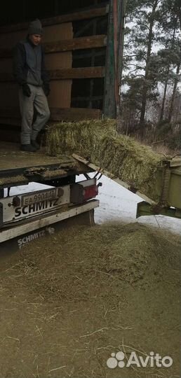 Солома, Сено луговое в тюках