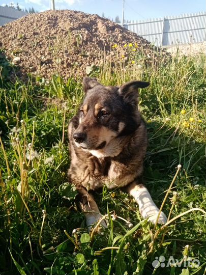 Помогите найти евочку