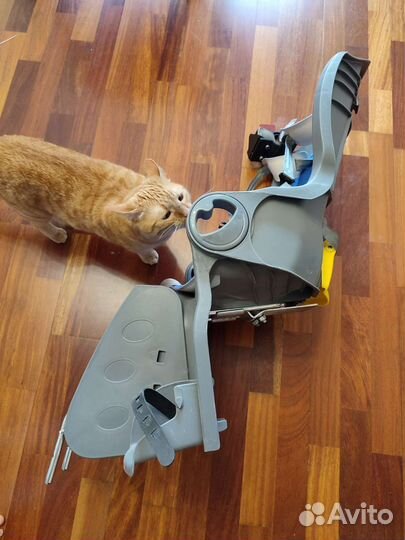 Детское велокресло