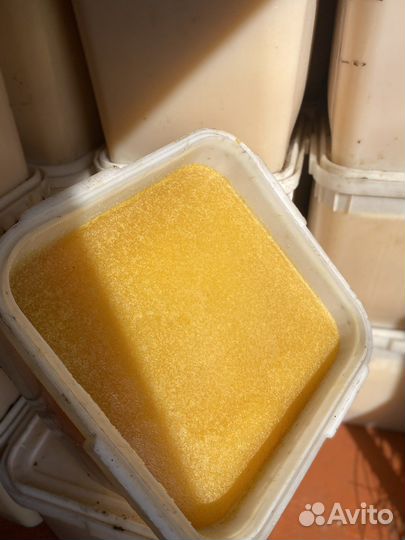 Продам мед подсолнечника