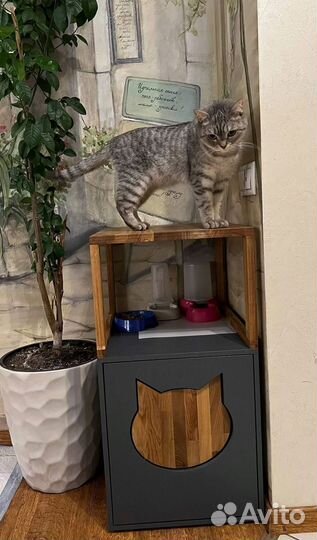 Кошачий лоток Закрытый