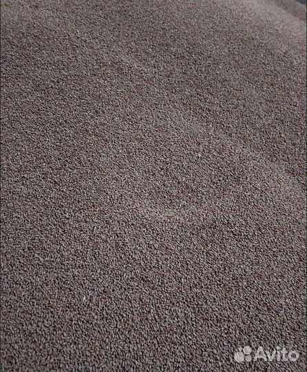 Подсолнечник, Семечко на корм