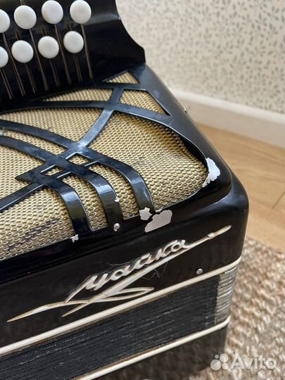 Гармонь чайка