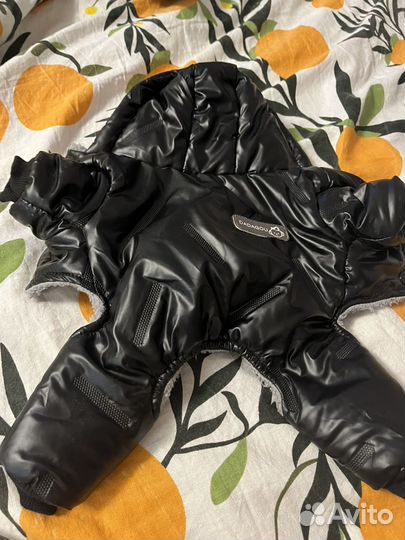 Одежда для животных