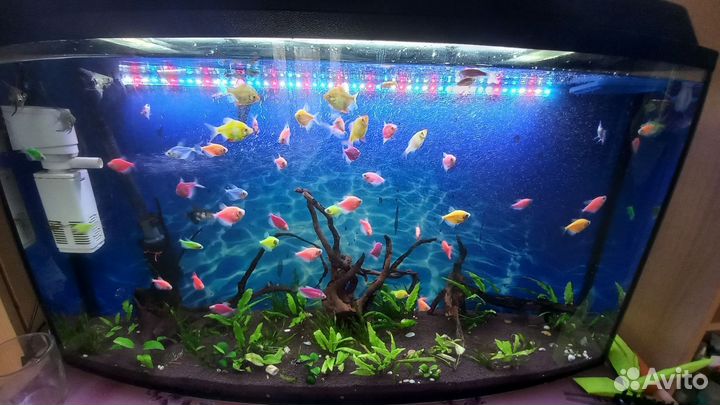 Аквариум и куча комплектующих
