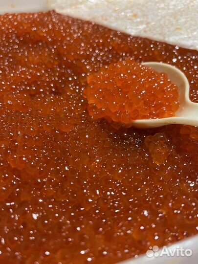 Кета, корюшка, Икра Красная с Камчатки