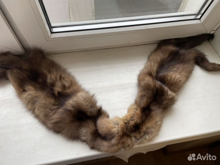 Шкурки соболя