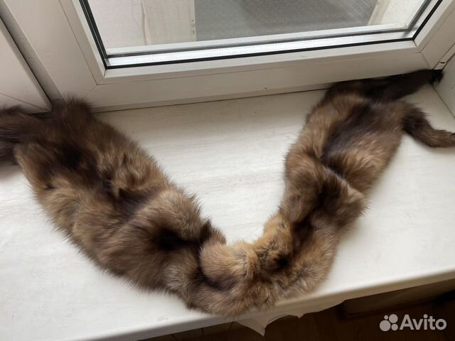 Шкурки соболя
