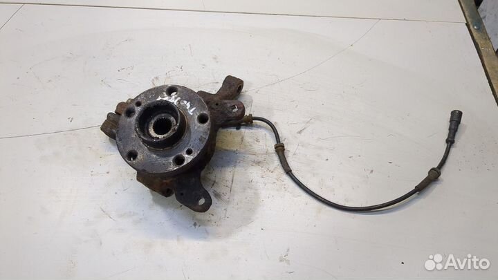 Ступица (кулак, цапфа) Renault Scenic RX4, 2001