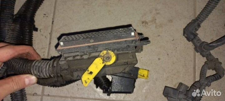 Проводка двигателя Камаз 5490 2018