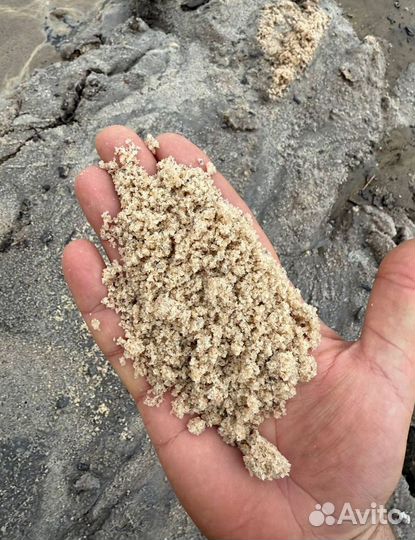 Песко соль