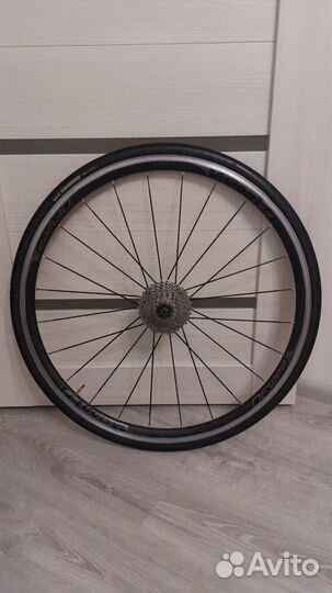 Шоссейное колесо заднее Vision team 30