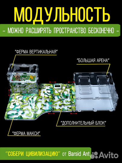 Муравьиная ферма вертикальная Формикарий с гипсом