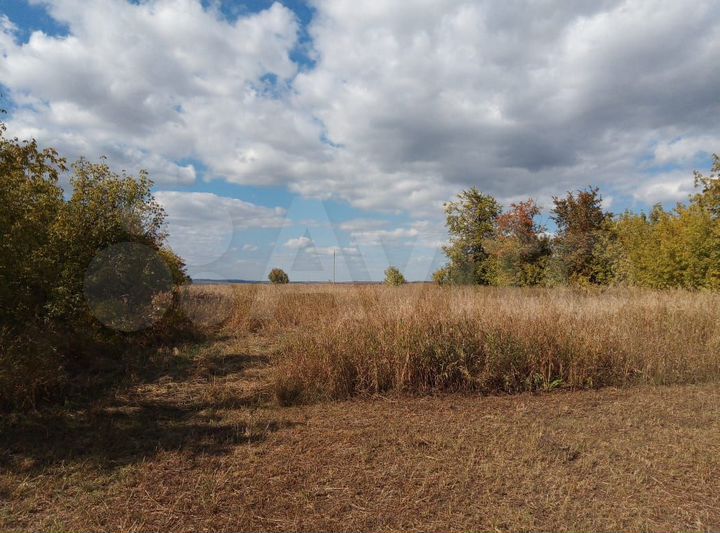 Участок 37 сот. (ИЖС)