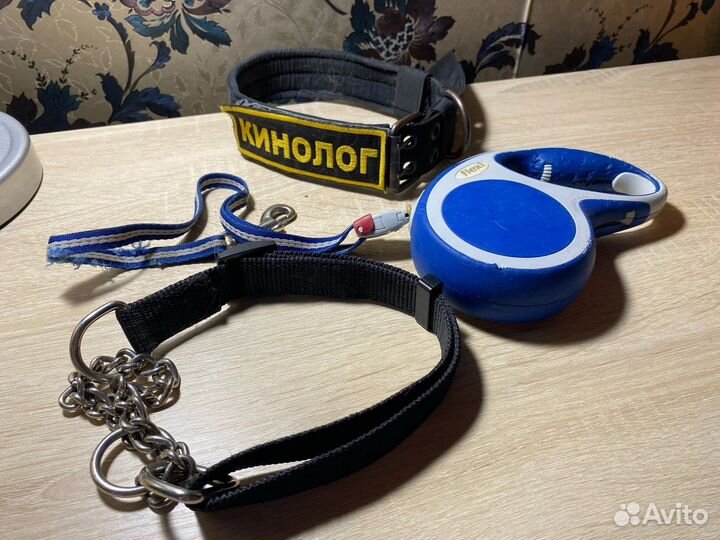 Амуниция и игрушки для собак