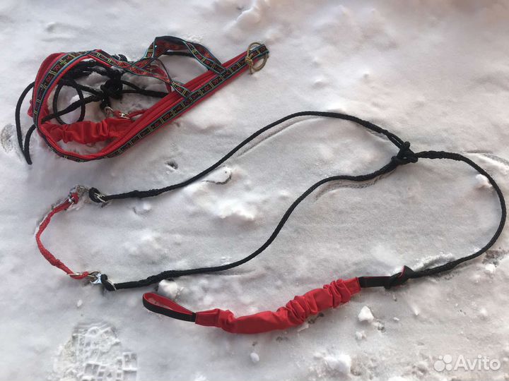 Прогулочная шлейка