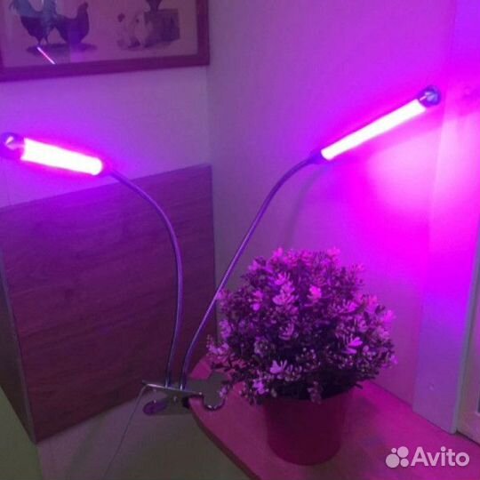 Фитолампа для рассады, для растений 4 лампы