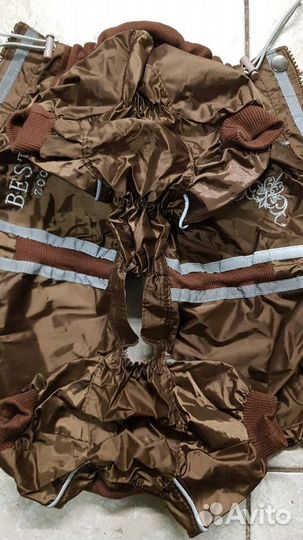 Новый комбинезон-дождевик для маленькой собаки