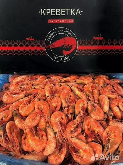 Креветка Северная