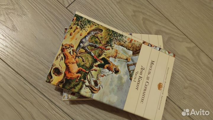 Дон Кихот. Комплект из 2 новых книг
