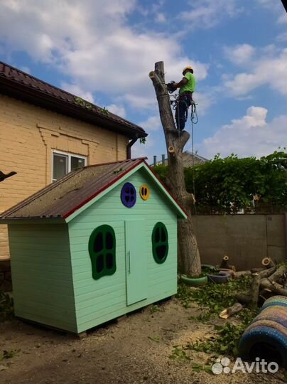 Спил деревьев