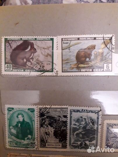 Марки цветы животные