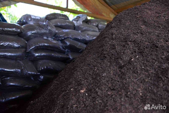 Чернозем хлебнинский