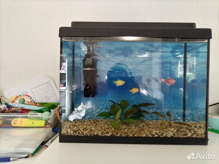 Аквариум с оборудованием и рыбками