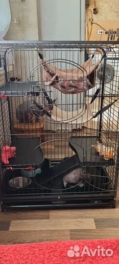 Клетка для грызунов большая