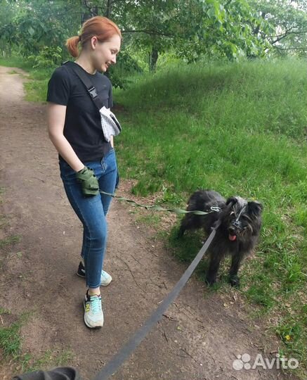 Бесси ждёт гостей