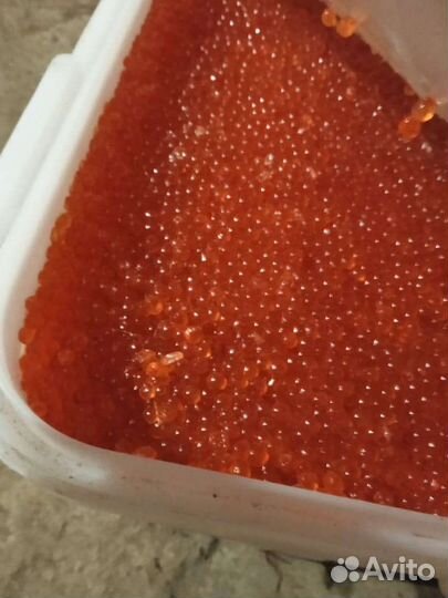 Икра красная, (кета, горбуша), 2023г