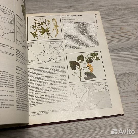 Красная книга СССР 1983г