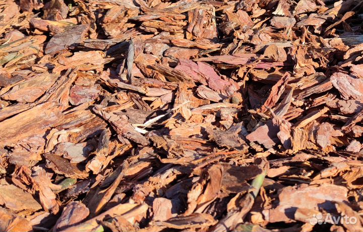 Кора лиственницы