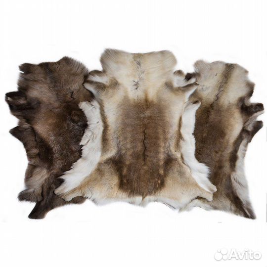 Шкура оленя