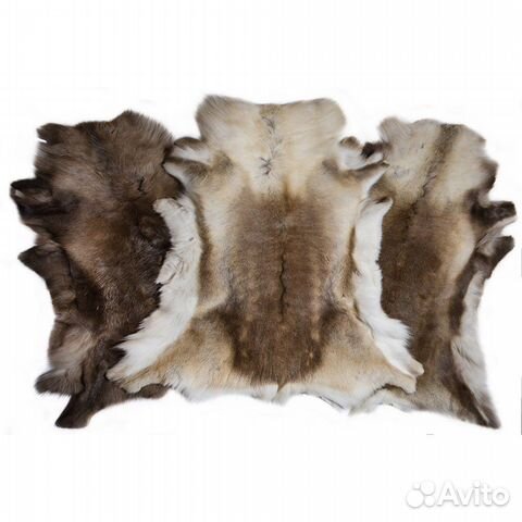 Шкура оленя