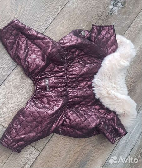 Комбинезон для йорка dogmoda