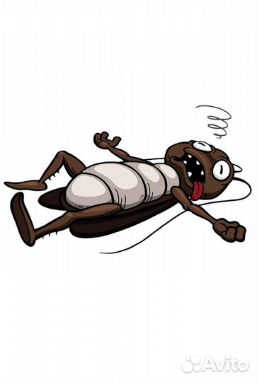 Клещи тараканы клопы муравьи осы шершни