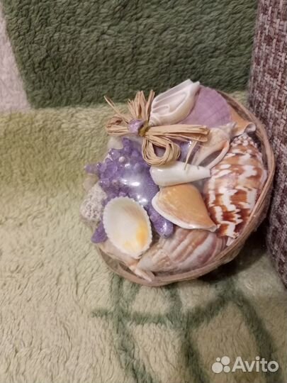 Набор ракушек