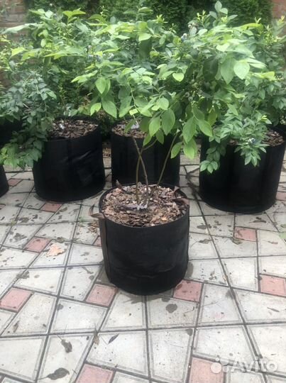 Сумки для выращивания растений grow bag