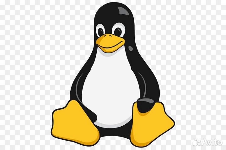 Установка windows, Linux
