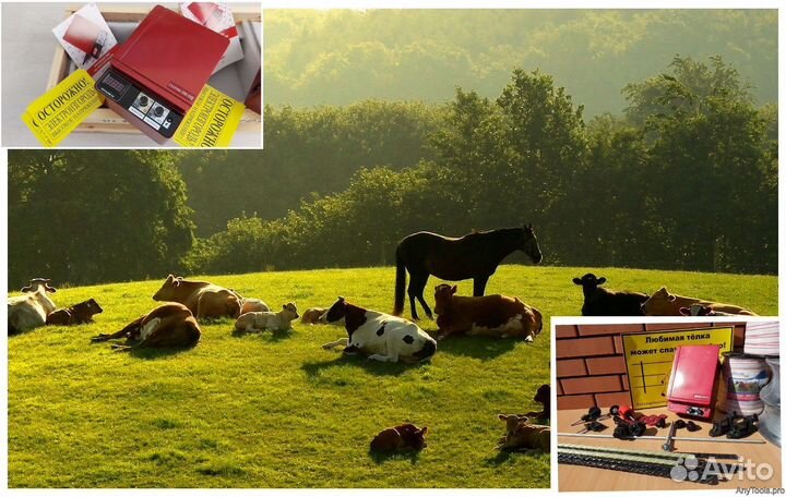 Электропастух