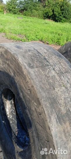 Шины на каток