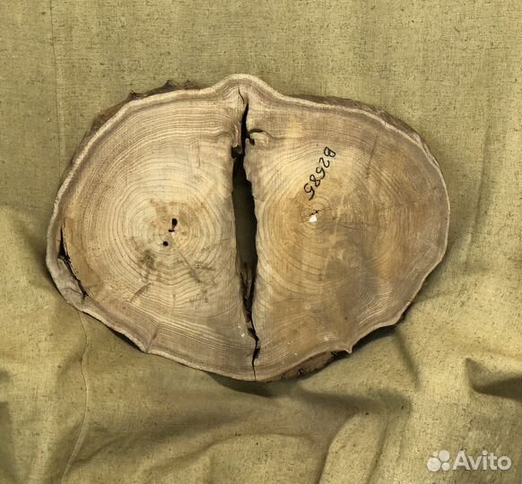 Спил карагача