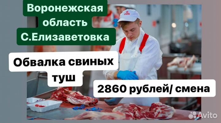 Разнорабочие на мясокабинат Вороонежская обл