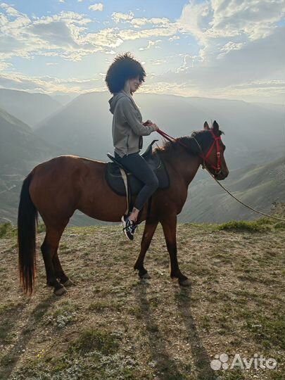 Экскурсии и туры Дагестан/Осетия/Ингушетия/Чечня