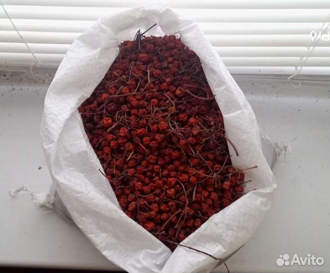 Ягода Красная рябина, сушёная